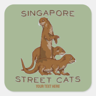 Sea Otter Singapore Street Cats Quadratischer Aufkleber