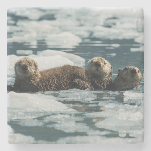 Sea Otter Steinuntersetzer (Vorderseite)