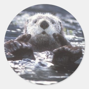 Sea Otter Stickers