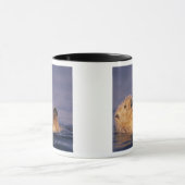 Sea Otters, Enhydra lutris 2 Tasse (Zentrum)