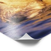 Sea Otters, Enhydra lutris 3 Fotodruck (Ecke)