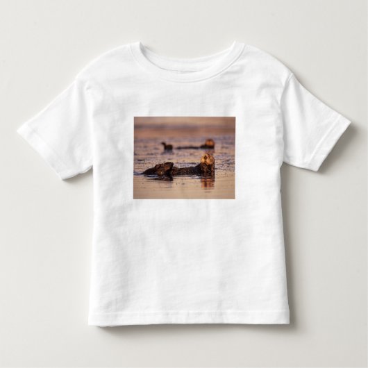 Sea Otters, Enhydra lutris 3 Kleinkind T-shirt (Vorderseite)