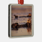 Sea Otters, Enhydra lutris 3 Ornament Aus Metall (Rechts)