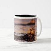 Sea Otters, Enhydra lutris 3 Zweifarbige Tasse (VorderseiteRechts)