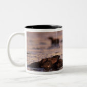 Sea Otters, Enhydra lutris 3 Zweifarbige Tasse (Links)