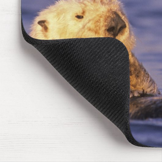 Sea Otters, Enhydra lutris 4 Mousepad (Ecke)