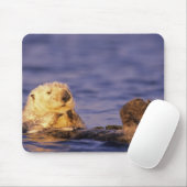 Sea Otters, Enhydra lutris 4 Mousepad (Mit Mouse)