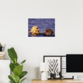 Sea Otters, Enhydra lutris 4 Poster (Heimbüro)