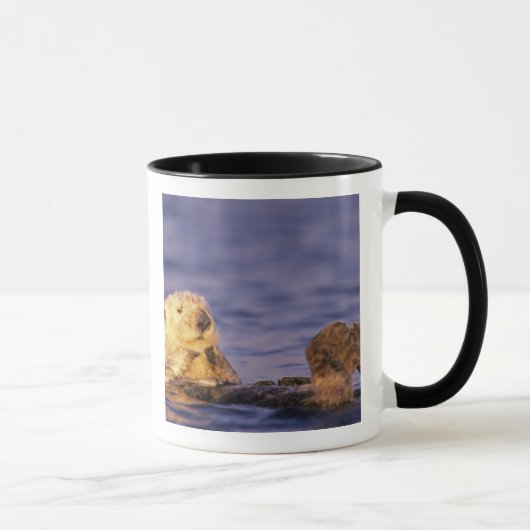 Sea Otters, Enhydra lutris 4 Tasse (Rechts)
