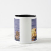 Sea Otters, Enhydra lutris 4 Tasse (Zentrum)
