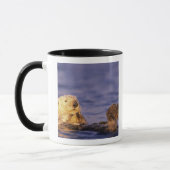 Sea Otters, Enhydra lutris 4 Tasse (Links)