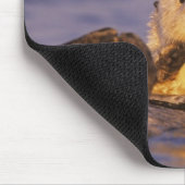 Sea Otters, Enhydra lutris 5 Mousepad (Ecke)