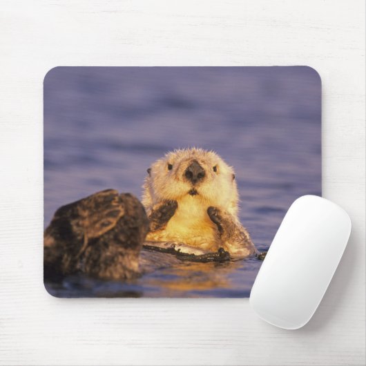 Sea Otters, Enhydra lutris 5 Mousepad (Mit Mouse)