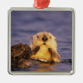 Sea Otters, Enhydra lutris 5 Ornament Aus Metall (Vorne)
