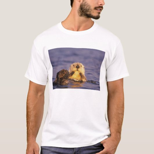 Sea Otters, Enhydra lutris 5 T-Shirt (Vorderseite)