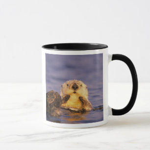 Sea Otters, Enhydra lutris 5 Tasse