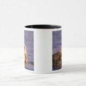 Sea Otters, Enhydra lutris 5 Tasse (Zentrum)