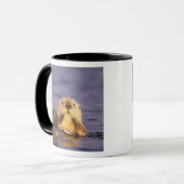 Sea Otters, Enhydra lutris 5 Tasse (Vorderseite Links)
