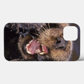 Sea Otters, Enhydra lutris 6 Case-Mate iPhone Hülle (Rückseite (Horizontal))