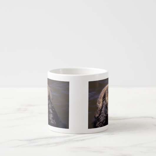 Sea Otters, Enhydra lutris 6 Espressotasse (Vorderseite)