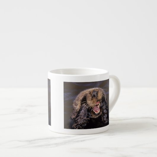Sea Otters, Enhydra lutris 6 Espressotasse (Vorderseite Rechts)