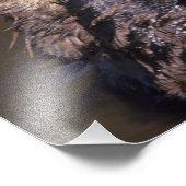 Sea Otters, Enhydra lutris 6 Fotodruck (Ecke)