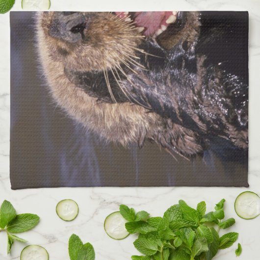 Sea Otters, Enhydra lutris 6 Geschirrtuch (Gefaltet)