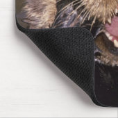 Sea Otters, Enhydra lutris 6 Mousepad (Ecke)