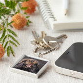 Sea Otters, Enhydra lutris 6 Schlüsselanhänger (Seite)