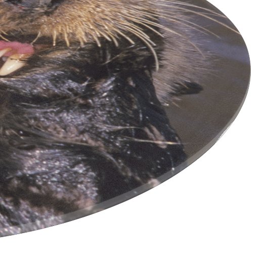 Sea Otters, Enhydra lutris 6 Schneidebrett (Ecke)