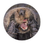 Sea Otters, Enhydra lutris 6 Schneidebrett (Vorderseite)