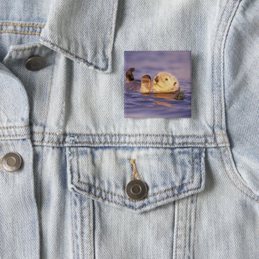 Sea Otters, Enhydra lutris Button (Beispiel)