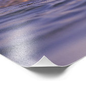 Sea Otters, Enhydra lutris Fotodruck (Ecke)