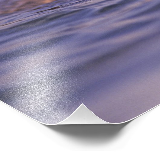 Sea Otters, Enhydra lutris Fotodruck (Ecke)