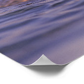 Sea Otters, Enhydra lutris Poster (Ecke)