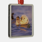 Sea Otters, Enhydra lutris Silbernes Ornament (Rechts)