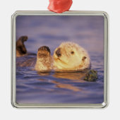 Sea Otters, Enhydra lutris Silbernes Ornament (Vorne)