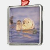 Sea Otters, Enhydra lutris Silbernes Ornament (Links)
