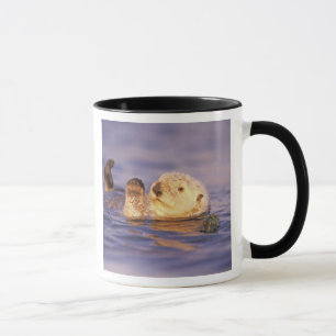 Sea Otters, Enhydra lutris Tasse
