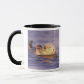 Sea Otters, Enhydra lutris Tasse (Links)