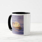 Sea Otters, Enhydra lutris Tasse (Vorderseite Links)
