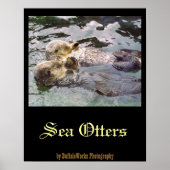 Sea Otters Holding Hands Poster (Vorne)
