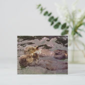 Sea Otters Holding Hands Postkarte (Stehend Vorderseite)
