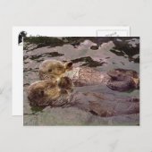 Sea Otters Holding Hands Postkarte (Vorne/Hinten)