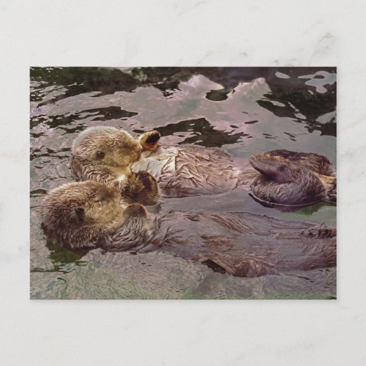 Sea Otters Holding Hands Postkarte (Vorderseite)