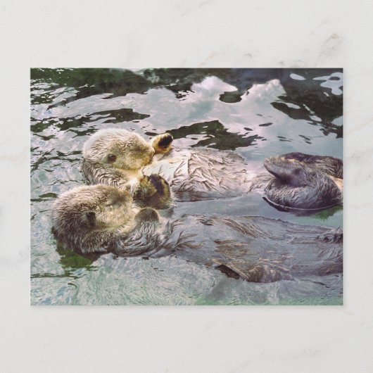 Sea Otters Holding Hands Postkarte (Vorderseite)