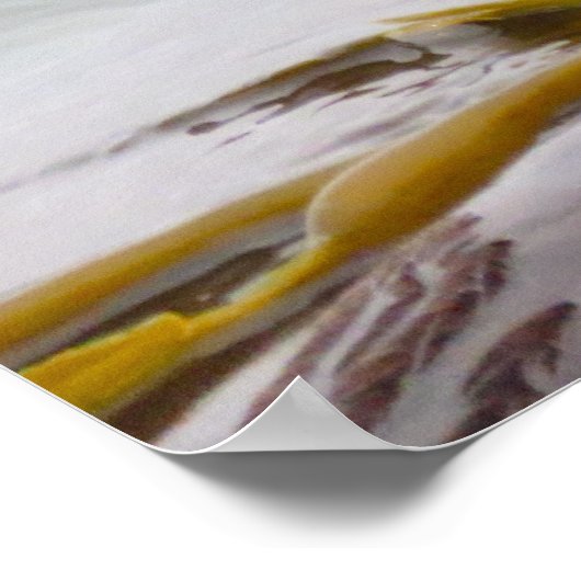 Sea Otters Liebe Crazy for Breakfast Poster (Ecke)