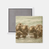 Sea Otters Magnet (Vorderseite/Rückseite)