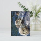 Sea-Otters Postkarte (Stehend Vorderseite)