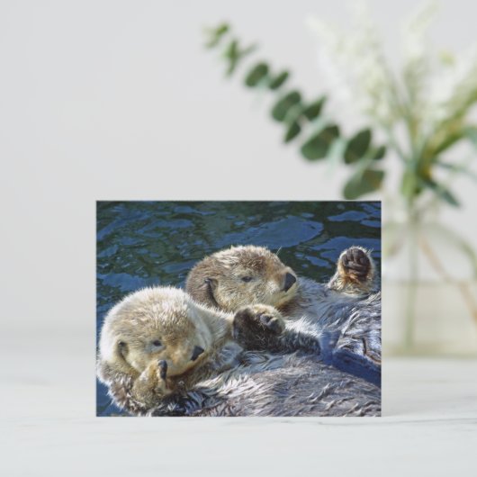Sea-Otters Postkarte (Stehend Vorderseite)